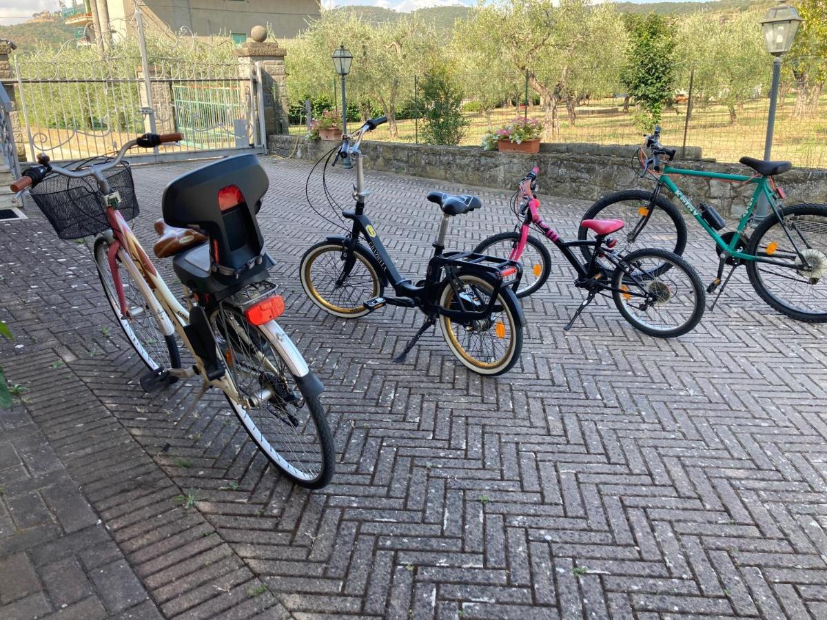 Le Coccole Del Trasimeno Guest House Tuoro sul Trasimeno Bagian luar foto
