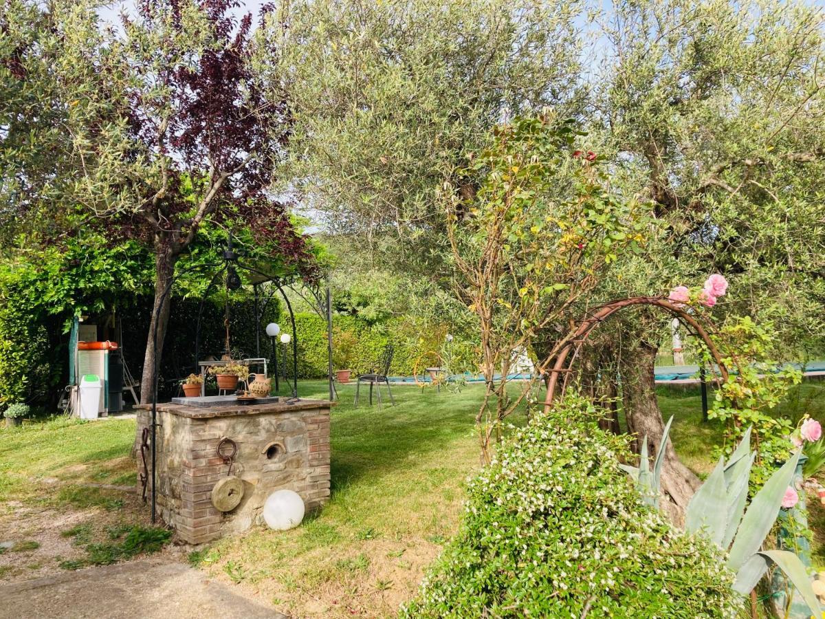 Le Coccole Del Trasimeno Guest House Tuoro sul Trasimeno Bagian luar foto