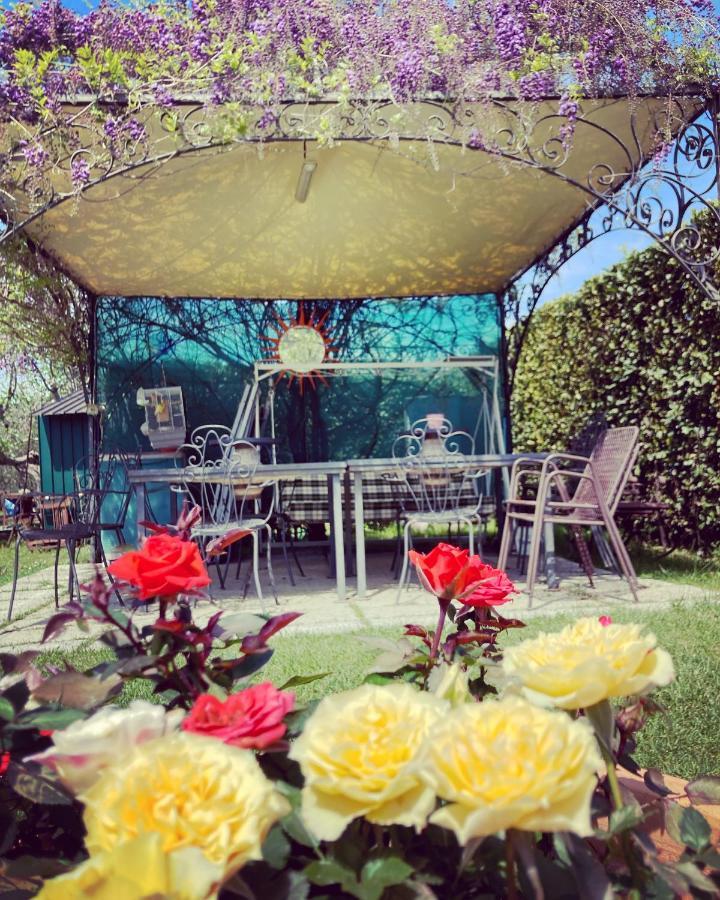 Le Coccole Del Trasimeno Guest House Tuoro sul Trasimeno Bagian luar foto