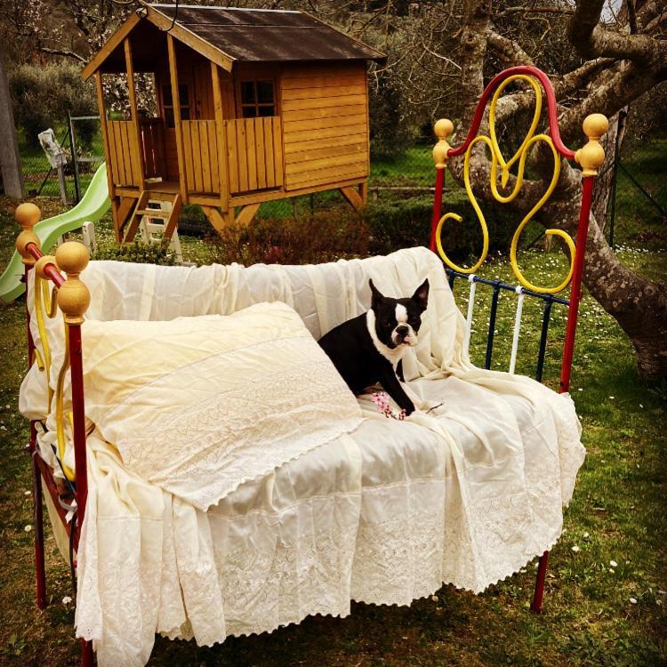 Le Coccole Del Trasimeno Guest House Tuoro sul Trasimeno Bagian luar foto