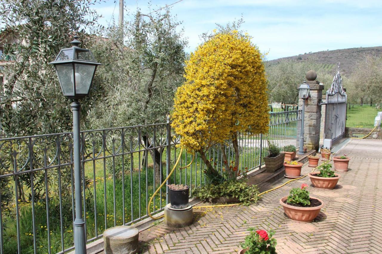 Le Coccole Del Trasimeno Guest House Tuoro sul Trasimeno Bagian luar foto