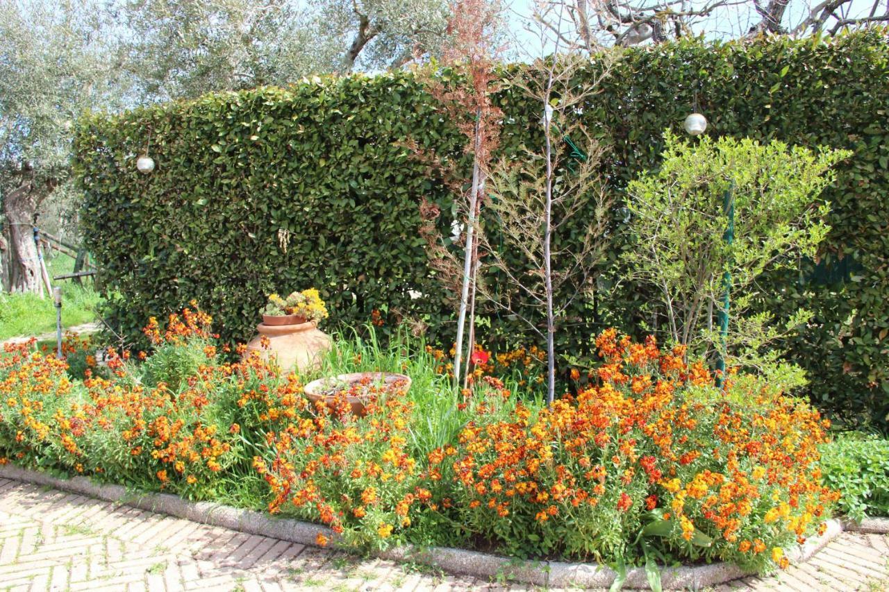 Le Coccole Del Trasimeno Guest House Tuoro sul Trasimeno Bagian luar foto