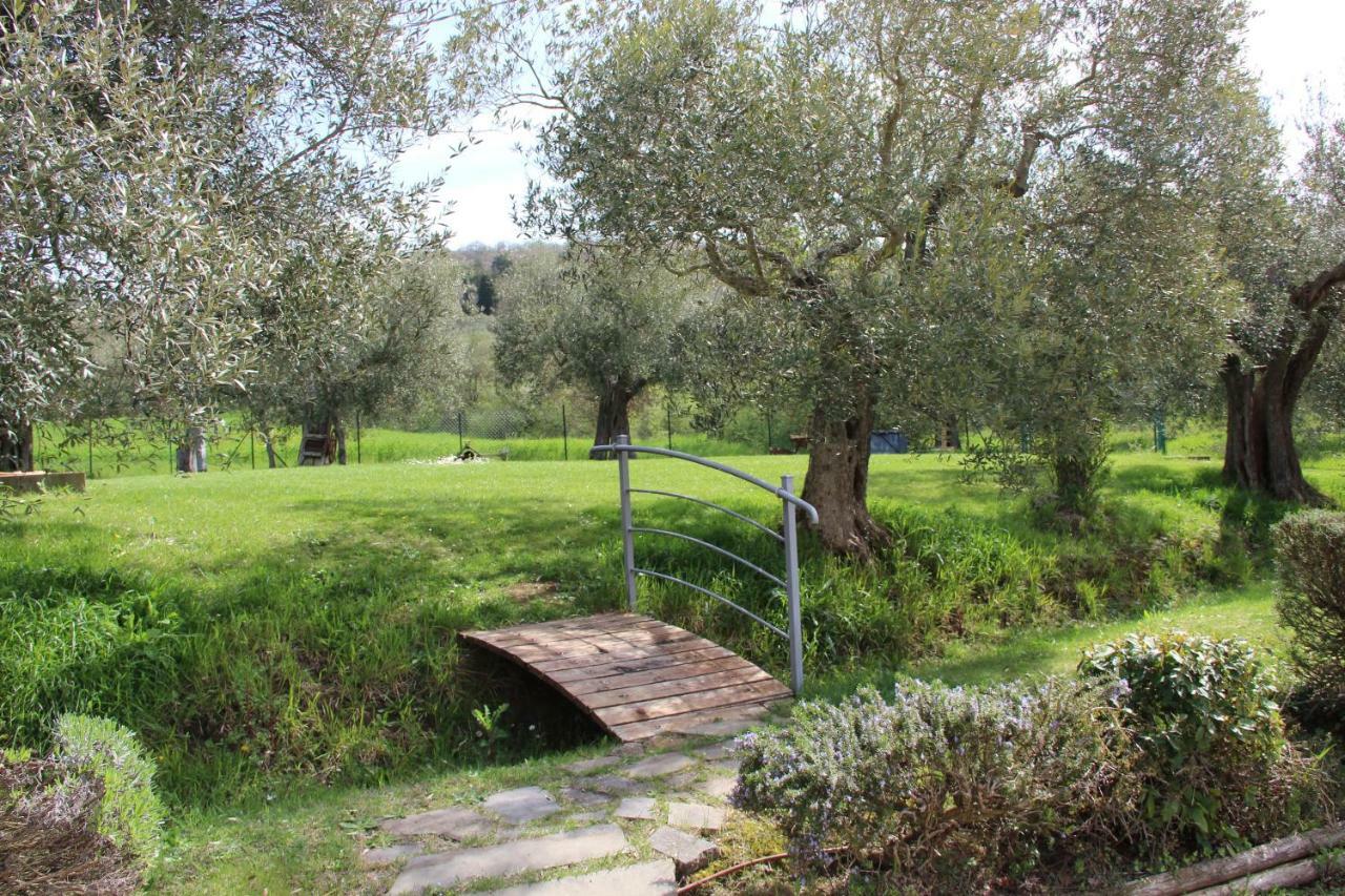 Le Coccole Del Trasimeno Guest House Tuoro sul Trasimeno Bagian luar foto