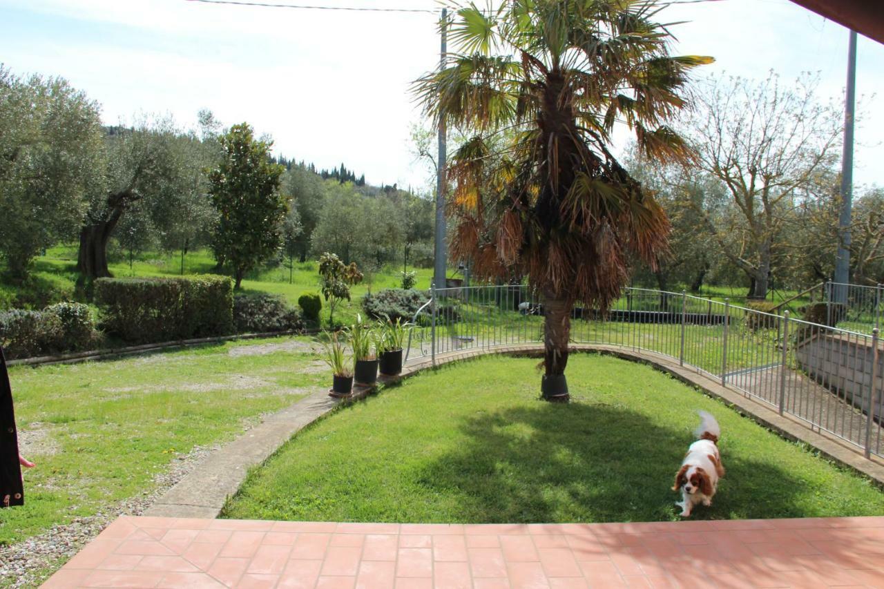 Le Coccole Del Trasimeno Guest House Tuoro sul Trasimeno Bagian luar foto