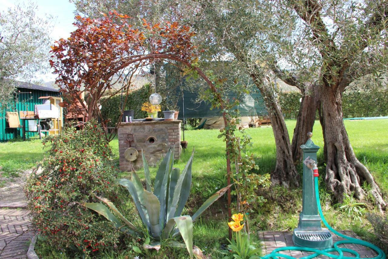 Le Coccole Del Trasimeno Guest House Tuoro sul Trasimeno Bagian luar foto