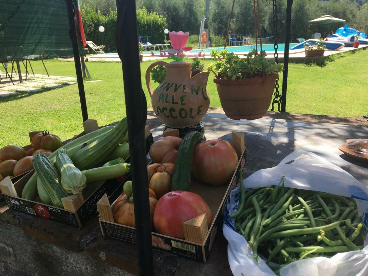 Le Coccole Del Trasimeno Guest House Tuoro sul Trasimeno Bagian luar foto