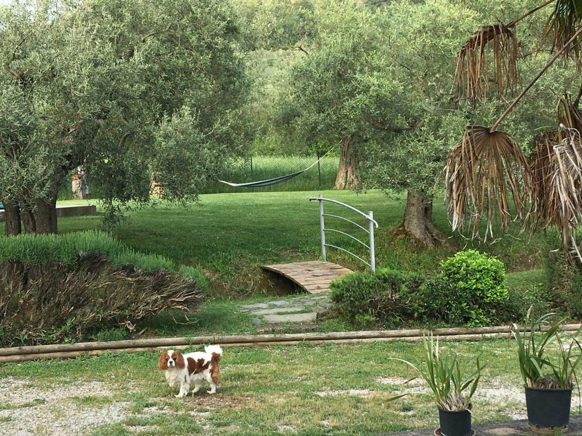 Le Coccole Del Trasimeno Guest House Tuoro sul Trasimeno Bagian luar foto