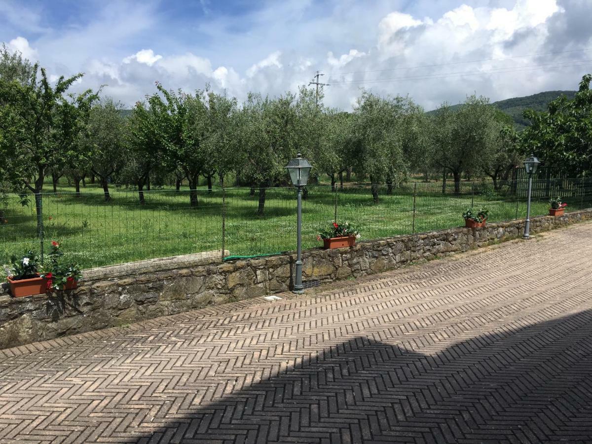 Le Coccole Del Trasimeno Guest House Tuoro sul Trasimeno Bagian luar foto